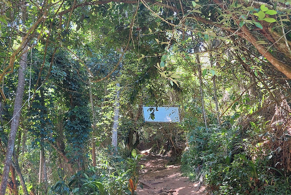 Trilha Praia do Cedrinho