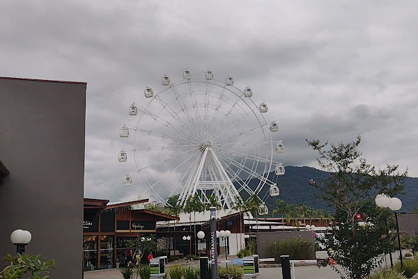 Foto 1 Roda de Ubatuba