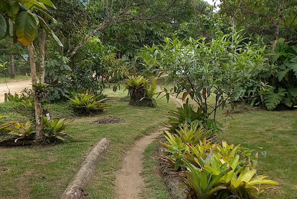 Trilha Ecológica de Itamambuca