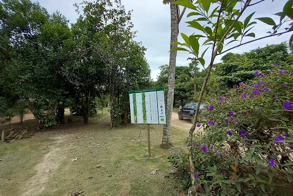 Foto 1 Trilha Ecológica de Itamambuca