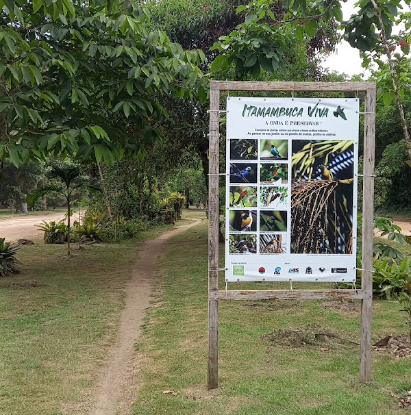Foto 3 Trilha Ecológica de Itamambuca