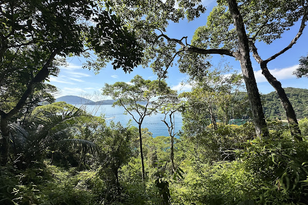 Foto 1 Trilha Praia da Ribeira