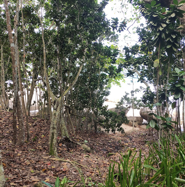 Foto 3 Praia do Godói