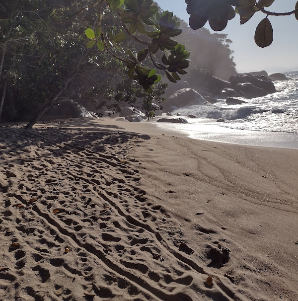 Foto 4 Praia do Godói