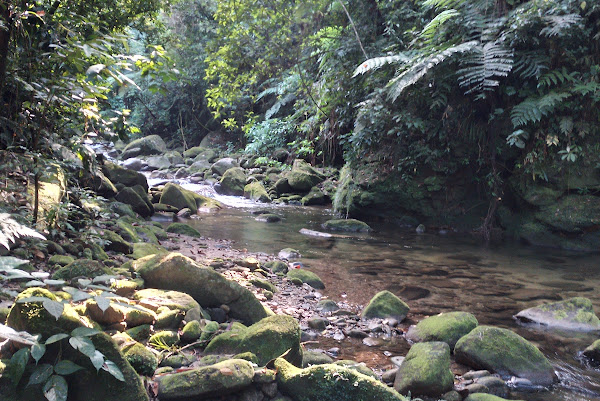 Foto 1 Fazenda Angelim