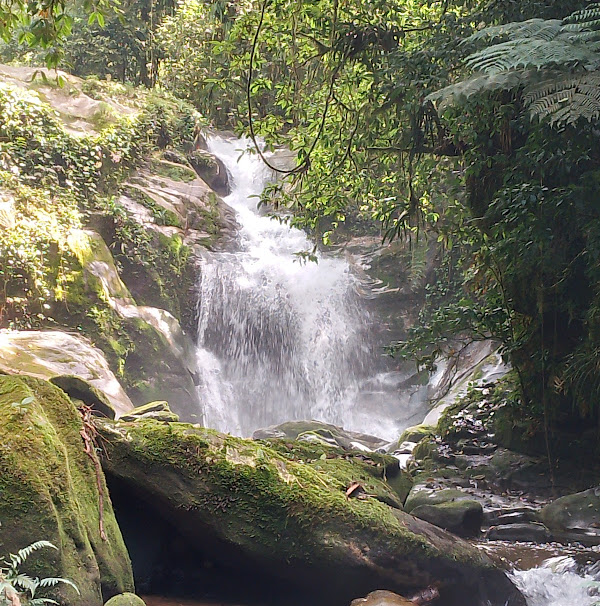 Foto 2 Fazenda Angelim