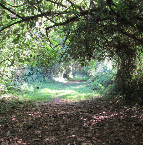 Foto 3 Fazenda Angelim