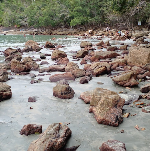 Piscina Natural da Fortaleza Piscina Natural da Fortaleza
