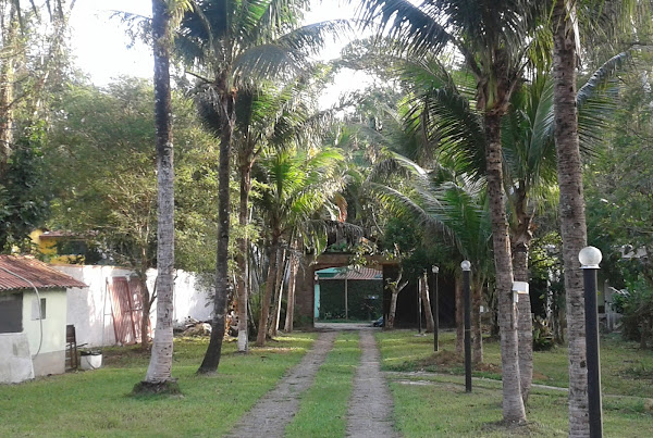 Fundação Centro Brasileiro de Prot e Pesq das T Marinha