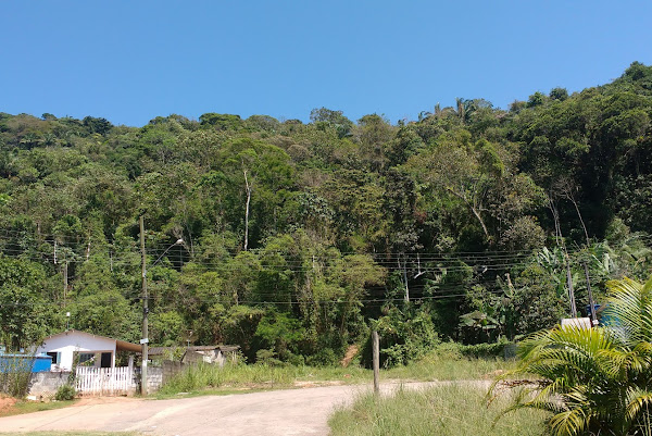 Foto 1 Fundação Centro Brasileiro de Prot e Pesq das T Marinha