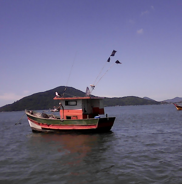Foto 3 Fundação Centro Brasileiro de Prot e Pesq das T Marinha