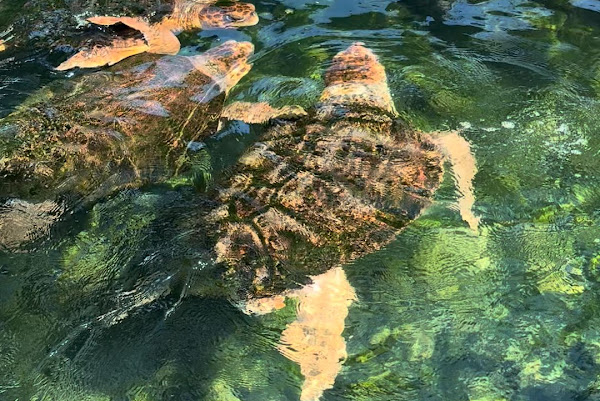 Foto 1 Museu Caiçara