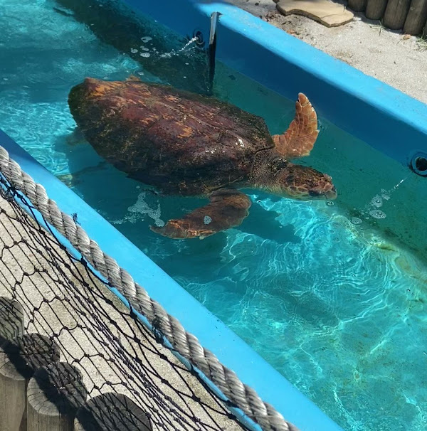 Foto 2 Museu Caiçara