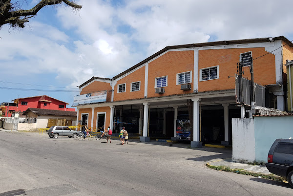 Foto 1 Pássaro Marron