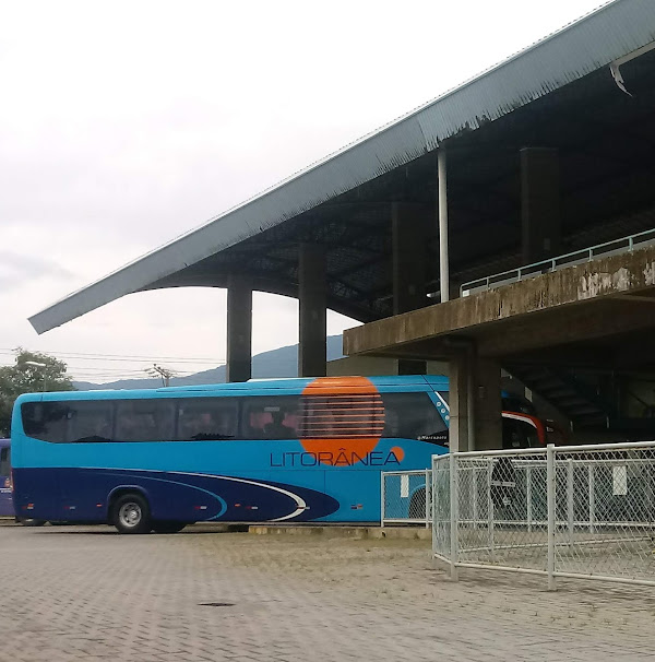 Foto 2 Pássaro Marron