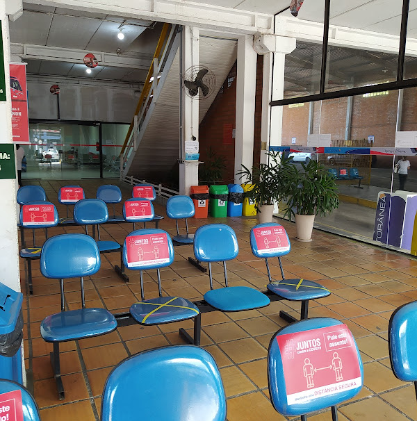 Foto 3 Pássaro Marron