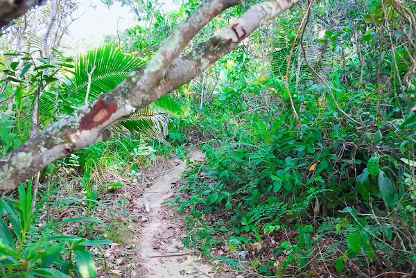 Foto 1 Praia da Caçandoca