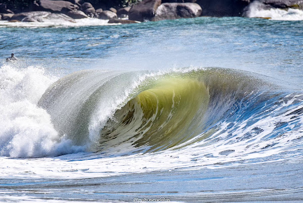 Foto 1 NABUSCADOSWELL - FOTOGRAFIAS DE SURF