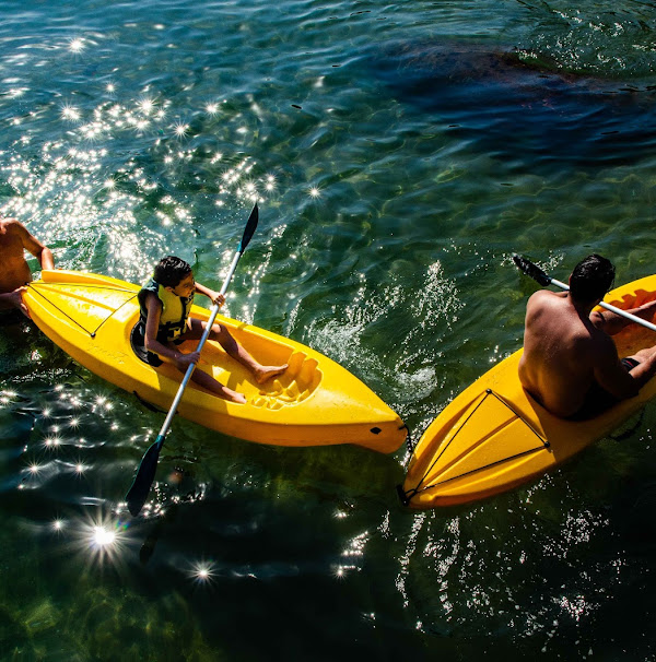 Foto 2 Vanessa Ferreira Fotografia.art