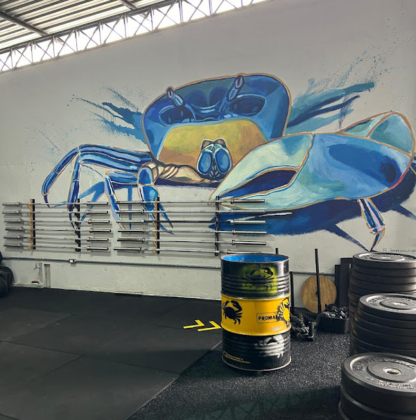 Foto 1 CrossFit Ubatuba