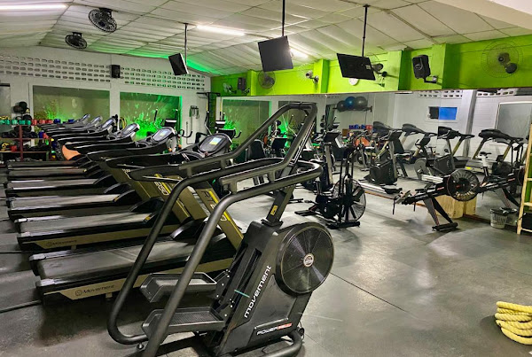 Winner Academia Winner Academia