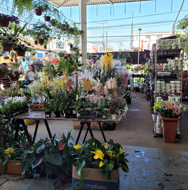 Foto 1 Floricultura PKE Plantas e Flores