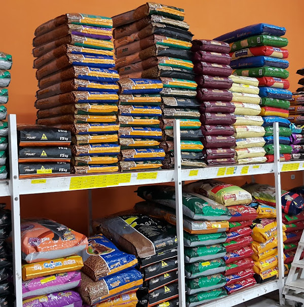 Foto 3 Nippon Pet Center Veterinário Banho e Tosa