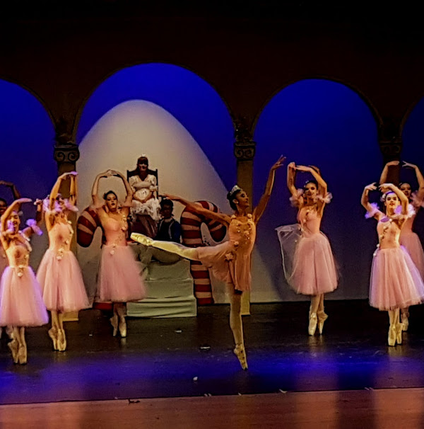 Foto 3 Teatro Municipal Pedro Paulo Teixeira Pinto