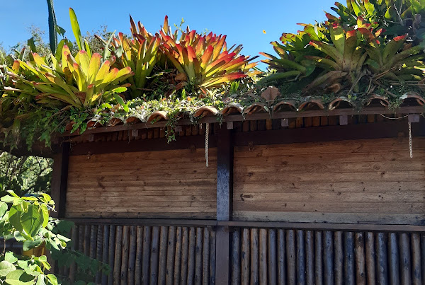 Camping Do Marcão Prumirim