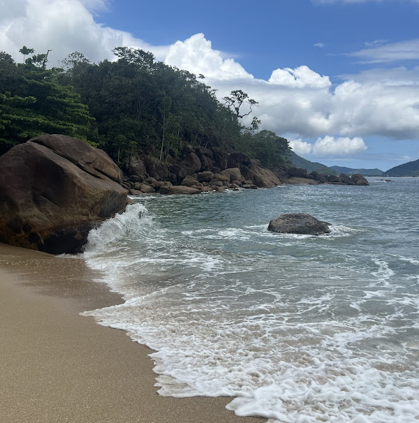 Foto 2 Praia Brava do Sul