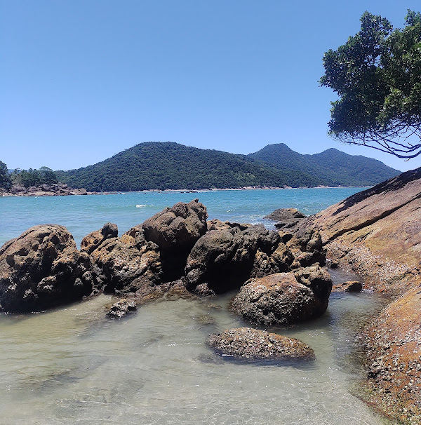 Foto 3 Praia Brava do Sul