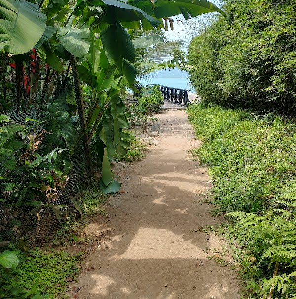 Foto 2 Praia Domingas Dias