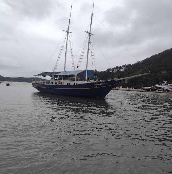 Foto 2 Ilha das Palmas