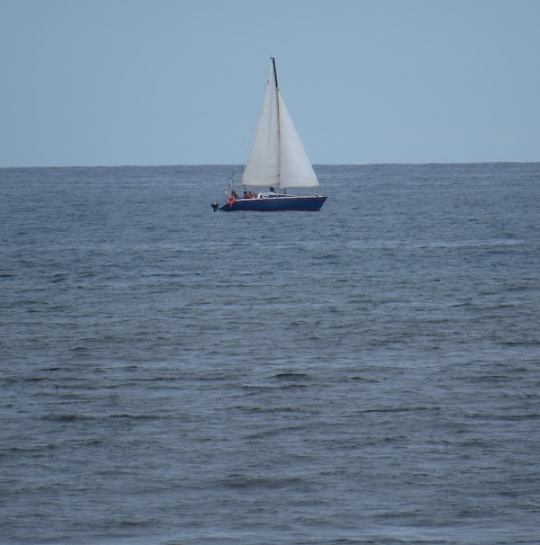 Foto 3 Praia do Flávio Foto 3 Praia do Flávio