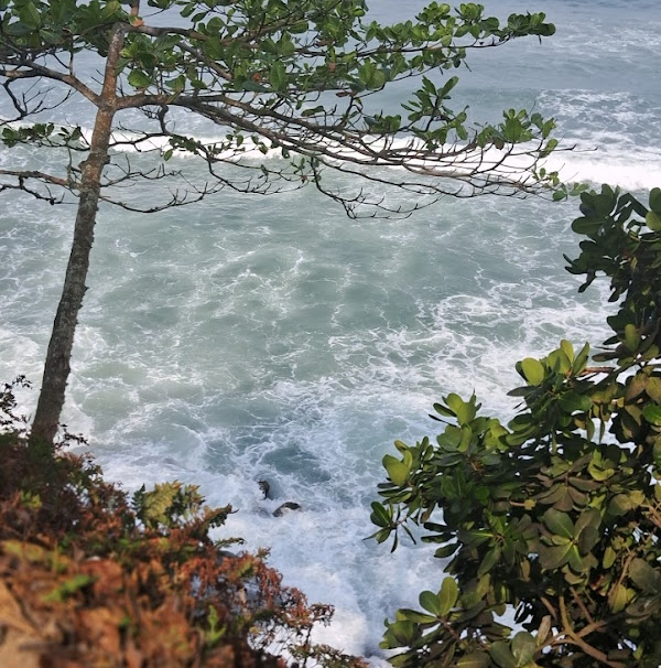 Foto 2 Escadaria Escondida