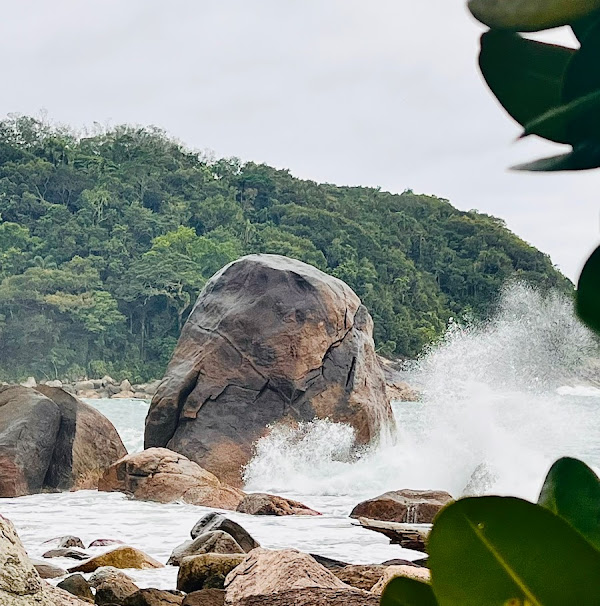 Foto 1 Baguari de fora