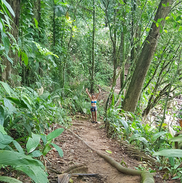 Foto 1 Trilha estrada do Porto