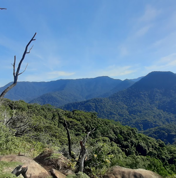 Foto 1 Pico do Piúva