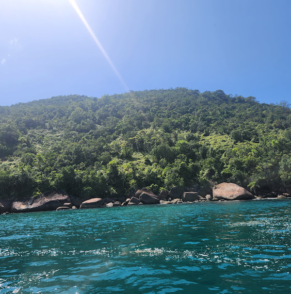 Foto 2 Aquário Natural da Ilha Anchieta