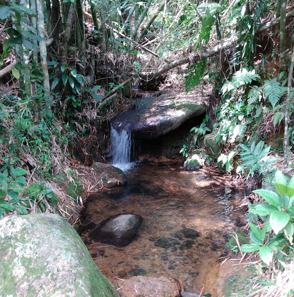 Foto 3 Praia do Oeste