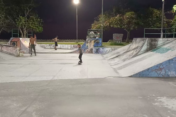 Foto 2 Pista de Skate Pública