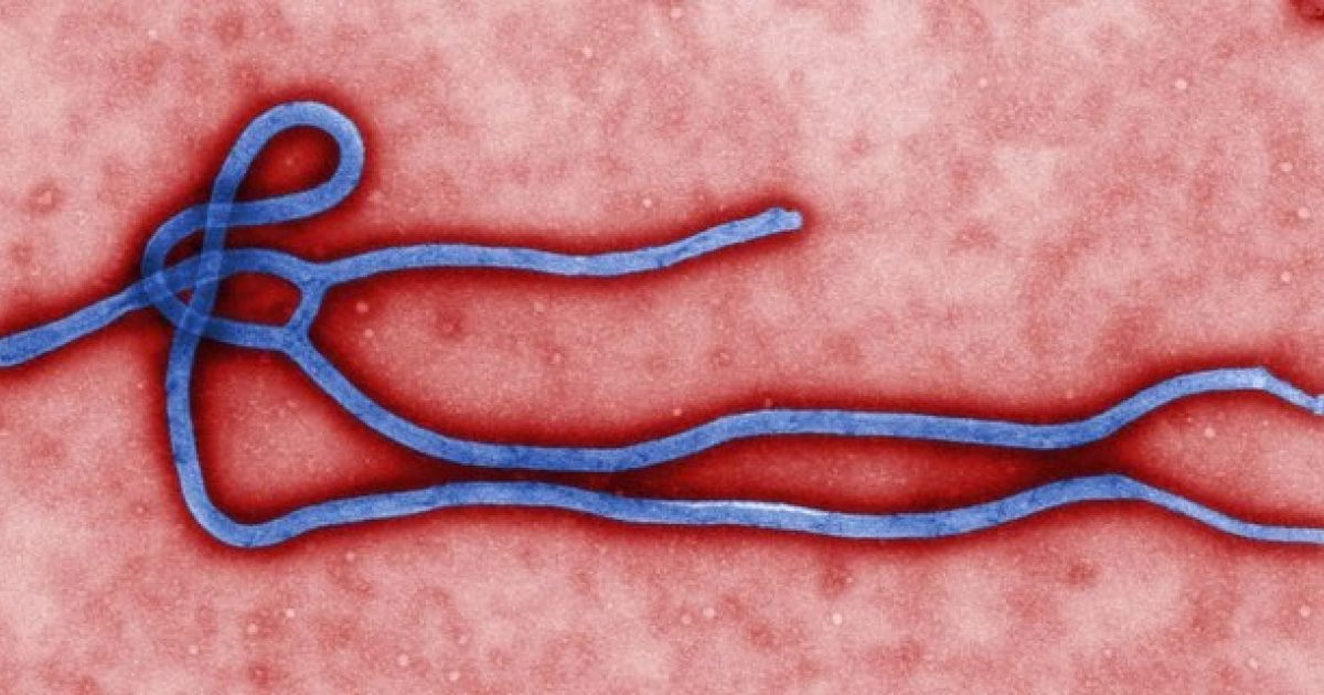 What you should know about Ebola Infectious… Wyoming Medical Center