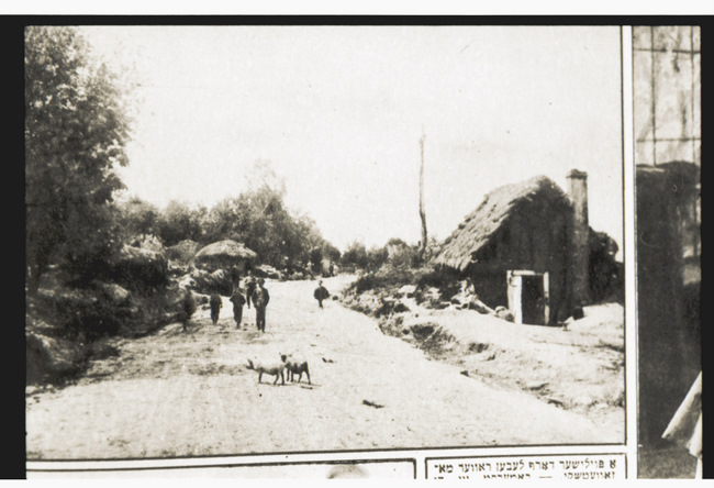 yarg120po_forward27162