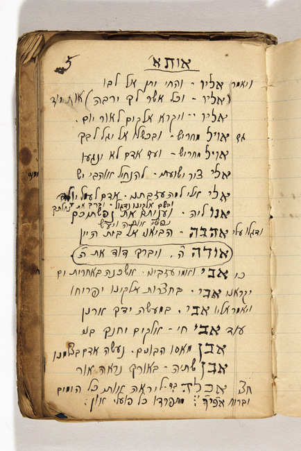 yarg266f023ad001p005