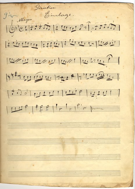 yarg7f331barkochbap8