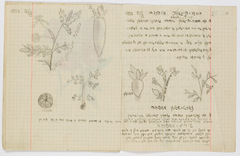 rg48_45.3_00003