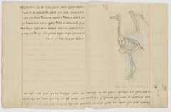 rg48_45.3_00007