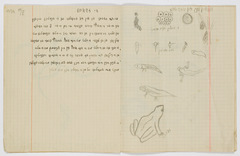 rg48_45.3_00011
