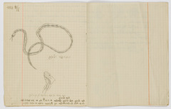 rg48_45.3_00012