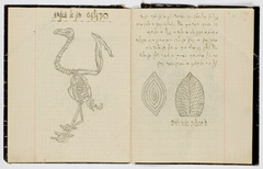 rg48_90.2_00005